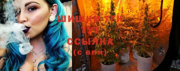 шишки Алексеевка