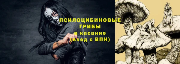 шишки Алексеевка
