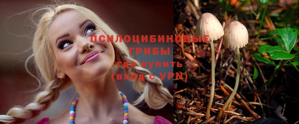 шишки Алексин