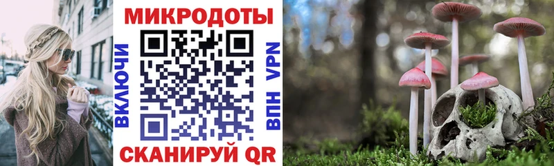 как найти закладки  Дубовка  Галлюциногенные грибы мицелий 